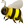 :Bee: